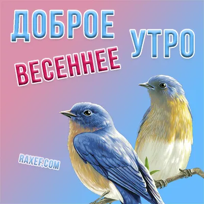 Доброе весеннее утро в Севастополе - Лента новостей Крыма