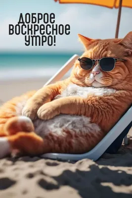 Доброе воскресное утро, район! - Лента новостей ЛНР