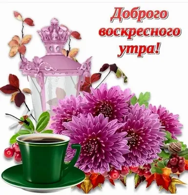 rukzak.in.ua - Доброе воскресное утро, друзья! | Facebook
