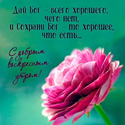 Картинки с пожеланиями с добрым мартовским утречком (47 фото) » Юмор,  позитив и много смешных картинок