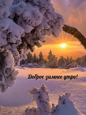 Красивые картинки Доброе зимнее утро! (35 фото)