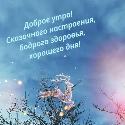 С добрым зимнем утром! | Elena Kubieva Авторские стихи и не только | Дзен
