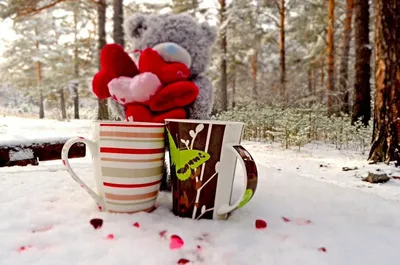 Красивые картинки Доброе зимнее утро! (50 открыток)