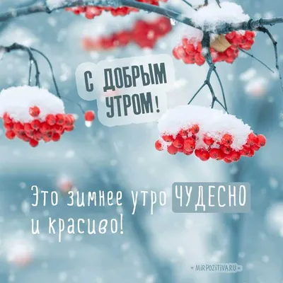 Пожелание доброе зимнее утро на открытках на украинском языке – Женский  журнал Modista