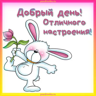 Начни свой день с Позитива! | Всем доброго дня! | Дзен