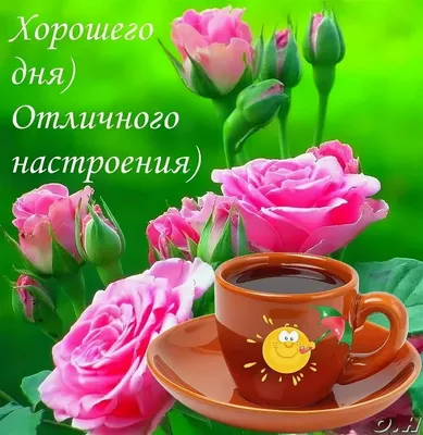 Всем доброго дня : r/Nova_Network
