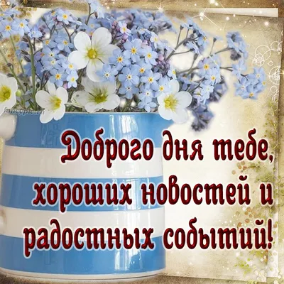 Добрый день - красивые и прикольные картинки хорошего настроения