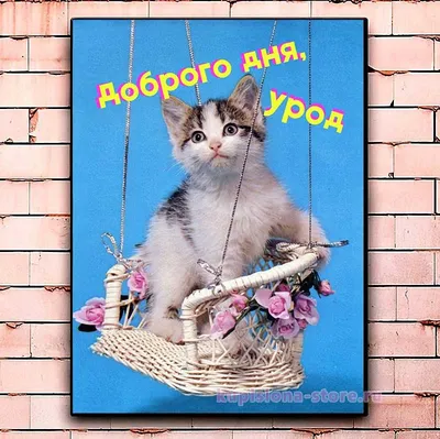 Картинки \"С Добрым Утром!\" и \"Хорошего Дня!\" (500+)