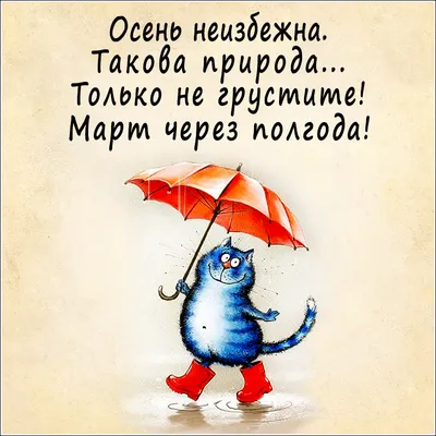 Пожелания хорошего дня в картинках, своими словами, в стихах, в смс и  христианские пожелания доброго дня — Украина