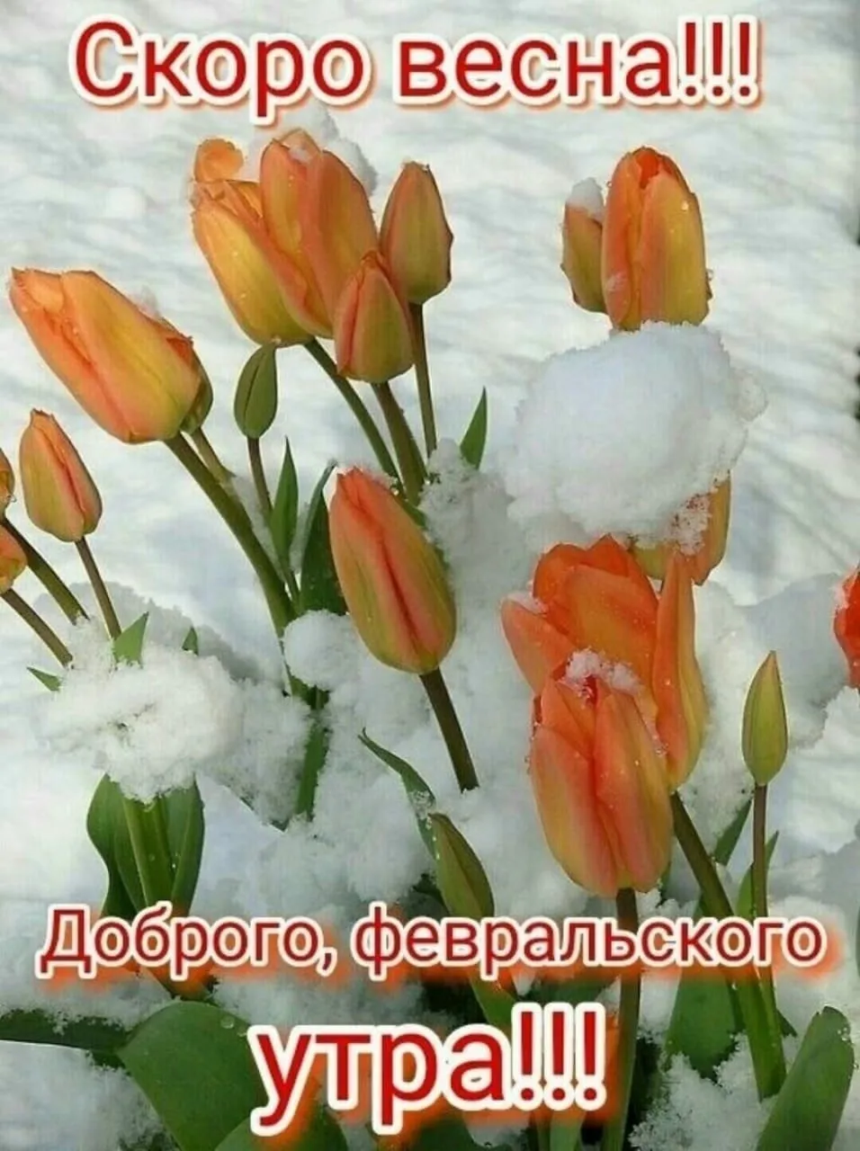 С добрым февральским утром картинки