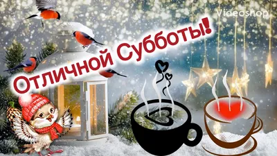 Доброго всем февральского утра! :-) :: Андрей Заломленков – Социальная сеть  ФотоКто