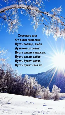 Картинка \"Доброго зимнего утра!\" с собакой и котиком • Аудио от Путина,  голосовые, музыкальные