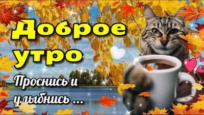 Доброго утра, Сиверская_Сиверский!!! | Сиверская_Сиверский | ВКонтакте