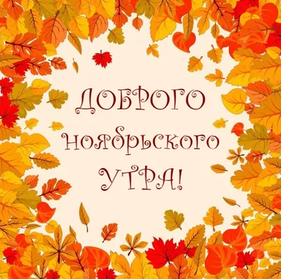 С добрым ноябрьским утром🍂 | Пейзажи, Осенний пейзаж, Живописные пейзажи