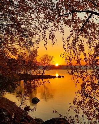 Красивые картинки \"Доброго осеннего вечера!\" (125 шт.)