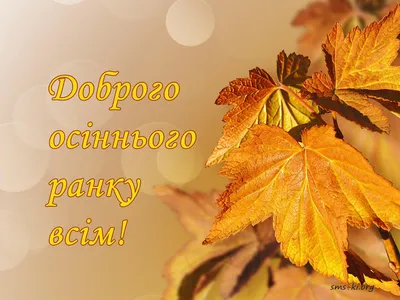 Соломія Українець - ДОБРОГО РАНКУ ВАМ! 🙂 Понеділок дав наказ, щоб було все  добре в нас! Посміхались, не хворіли, друзів добрих щоб зустріли. Честь та  совість берегли і щасливими були! До роботи