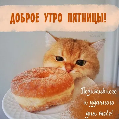 Доброе утро. #Пятница! | TikTok