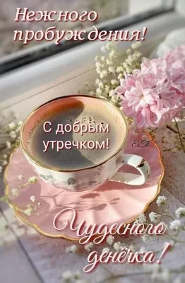 Kristina on X: \"@Olga_Zah Доброго летнего утра, Olga! Замечательного дня !  https://t.co/eR6OaKPKzN\" / X