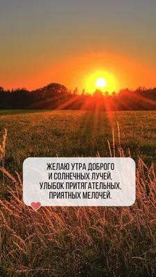 Картинка с ягодами: \"Спешу пожелать доброго летнего утра и весёлого  настроения\" • Аудио от Путина, голосовые, музыкальные