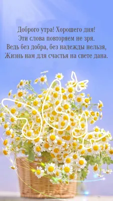 Доброго утра, хорошего дня, друзья!🌷 | Открытки на все случаи жизни |  ВКонтакте