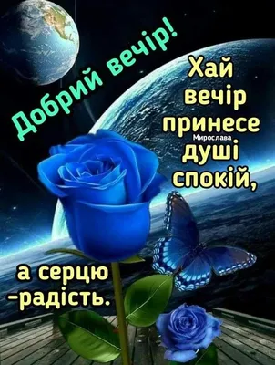 Ідеї на тему «Доброго вечера» (590) | листівка, різдвяні цитати, вироби  своїми руками на різдво