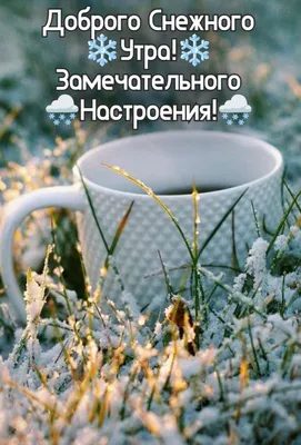 Доброго зимнего утра! 🌸Невесомых снежинок вам!🌸 Зимний позитив🌸Good  morning!🌸 - YouTube