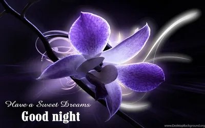 Pin by surya on Good night | Good night sweetheart, Good night flowers,  Happy good night