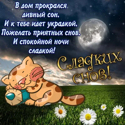 Доброй осенней ночи!#Сладких снов!# | TikTok