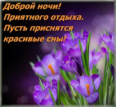 Добрый вечер Весна (Много фото) - treepics.ru
