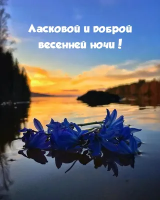 Алина Г. on X: \"@apixsun Спасибо, Людмила! Доброй ночи! Красивых снов!  💫🌺💫 https://t.co/pXMl1SCPgB\" / X