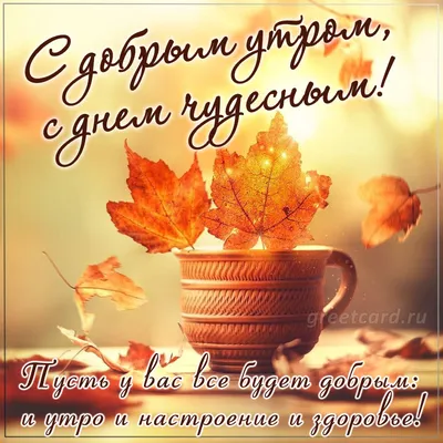 Ростов Первый - Добрый день. Спасибо за фото: @mihail.platiny #осень  #листья #набережная #дон #autumn | Facebook