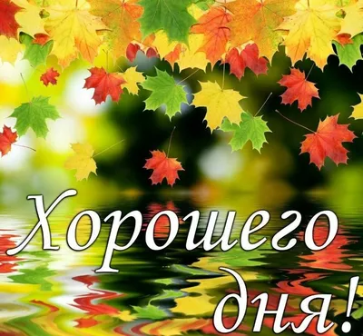 Pin by Людмила on Добрый день | Good morning gif, Lockscreen, Good morning