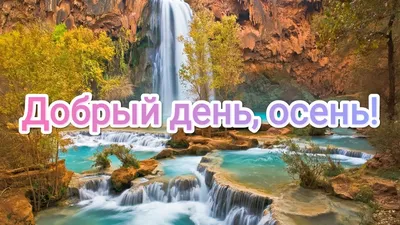 Осень - осень, добрый день! | Мария Журавлева | Дзен