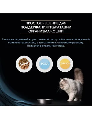 WikiVET Набор для сбора мочи у кошек 180 гр без консерванта
