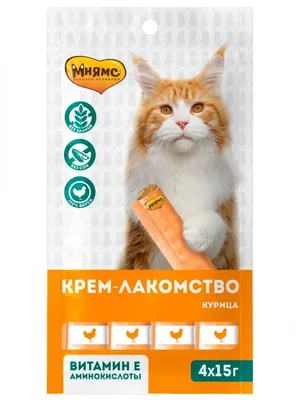 Сибирячка, которая поселила в своей квартире 160 кошек: Я разочаровалась в  людях - KP.RU