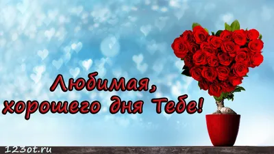 Суши Бум Санкт-Петербург - 💕Добрый день наши любимые💕 День Святого  Валентина или День всех влюбленных, самый романтичный праздник отмечают в  большинстве стран мира 😍Сегодня делаем скидку 14% на самовывоз по коду  \"Валентин\"