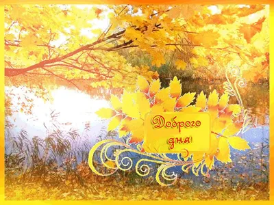 Хорошего дня | Осенние цветы, Доброе утро, Картинки