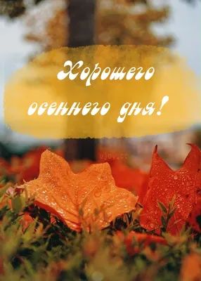 Картинки \"Доброго осеннего дня!\" (201 шт.)