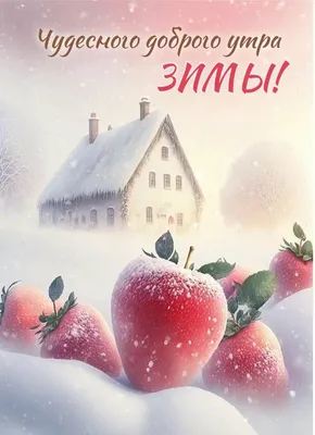 Добрый день, 17 января! Кусочек счастья в Зеленоградске | My day, my way...  | Дзен
