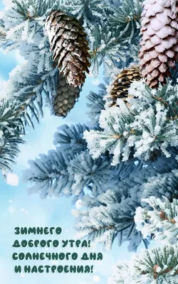 120 красивых зимних открыток с добрым днем
