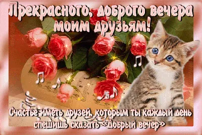 Добрый вечер друзья картинки фотографии
