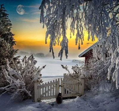 Идеи на тему «Зимний вечер» (900+) в 2024 г | рождественские пейзажи,  зимние картинки, рождественские картинки