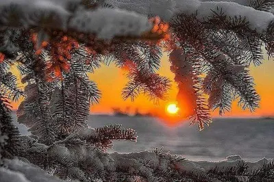 ЗИМА🎄❄☃️ Добрый вечер! Поздравляю всех с наступлением зимушки зимы!!! 1  декабря облачно, небольшой снег. Температура воздуха: утром: -… | Instagram