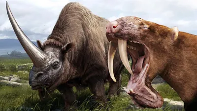 Самые Странные и Необычные Доисторические Животные - YouTube