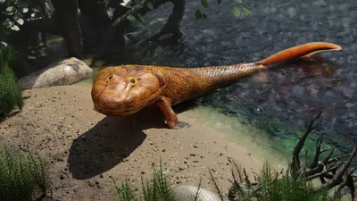 Самые необычные доисторические животные за последние годы - смотреть фото -  Апостроф