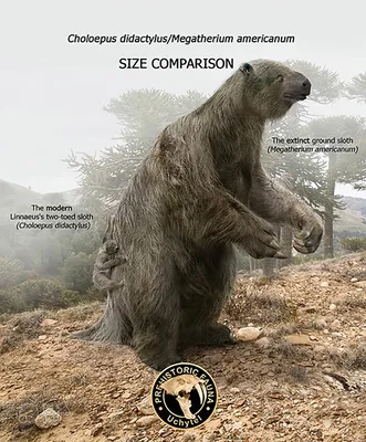 Сравнение размеров доисторических и современных животных 01 | Пикабу