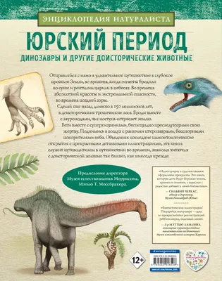 Какие звуки издавали доисторические животные#доисторическиймир #биолог... |  Dinosaur | TikTok