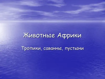 Природа, растения и животные Африки