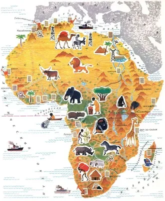Окружающий мир 2 класс Как написать план сообщения о материке Африка?