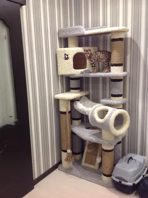 Дряпка-домик для кошек Trixie Башня Gabriel сизаль/фетр/флис
